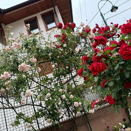 Imas Apartment سراييفو المظهر الخارجي الصورة