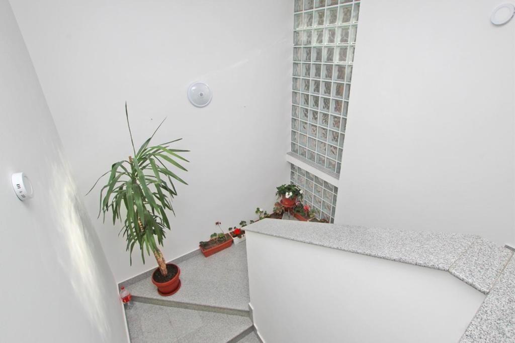 Imas Apartment سراييفو المظهر الخارجي الصورة